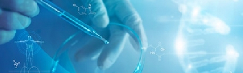 画板 23 副本 2.jpg