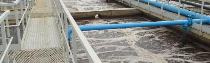 画板 23 副本 4-100.jpg