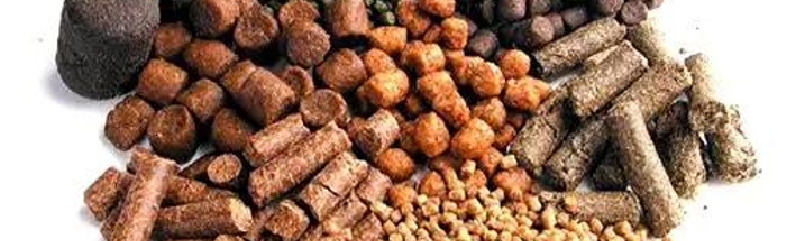 画板 23 副本 2.jpg